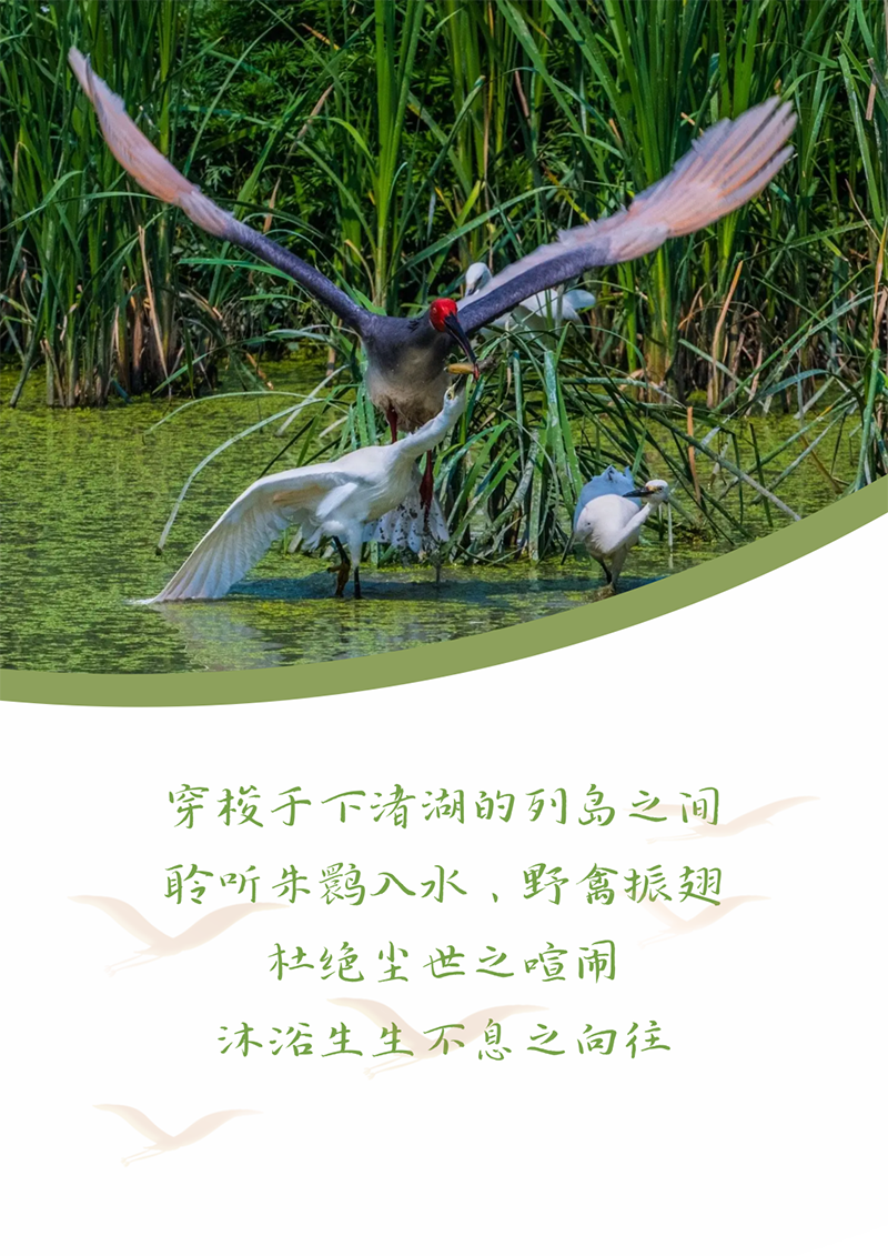 心心念廿 相伴永乐国际F66 | 与德清相约 贺廿载诞辰